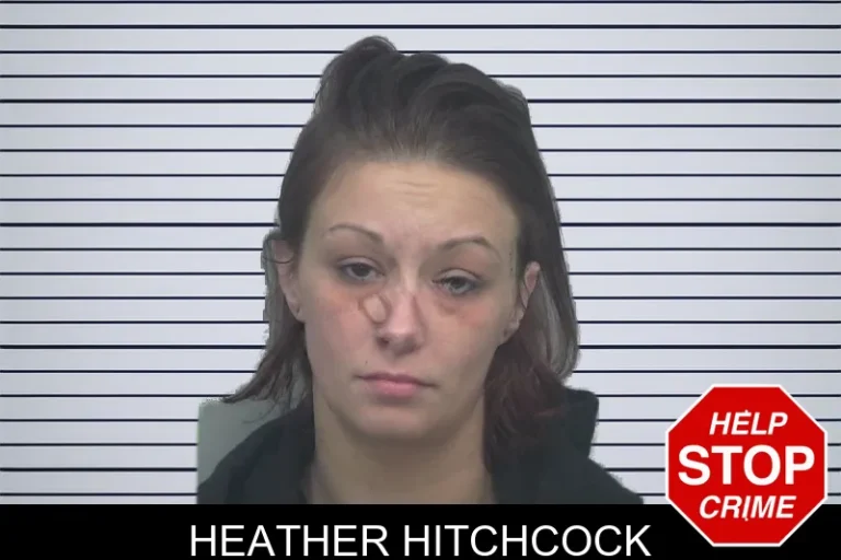 Heather Hitchcock