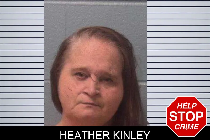 Heather Kinley Mugshots