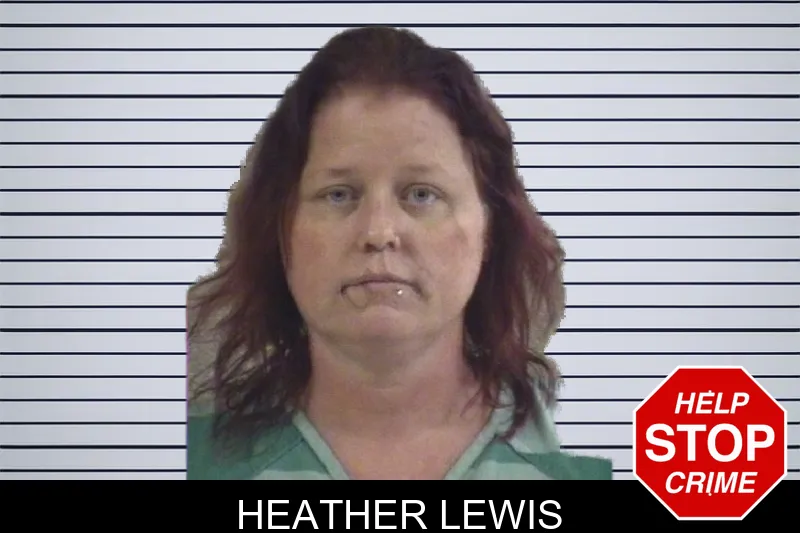 Heather Lewis Mugshots