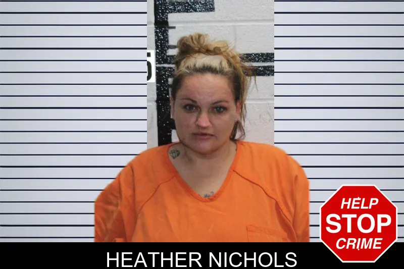 Heather Nichols Mugshots