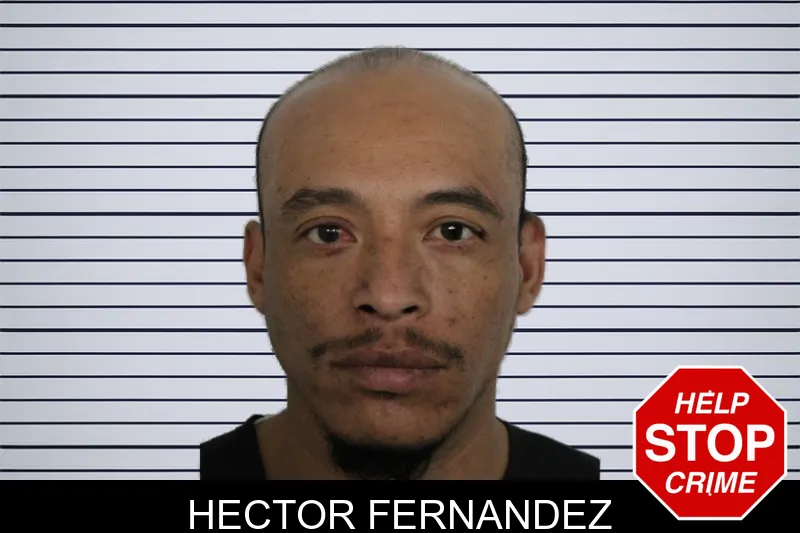 Hector Fernandez Mugshots