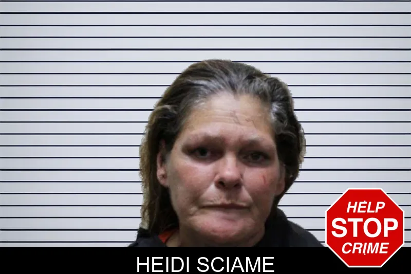 Heidi Sciame Mugshots