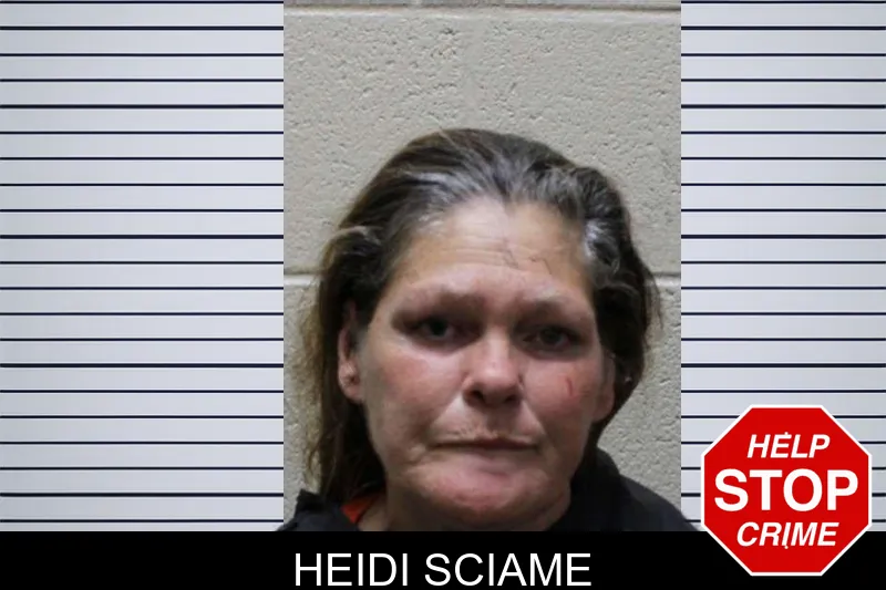 Heidi Sciame Mugshots