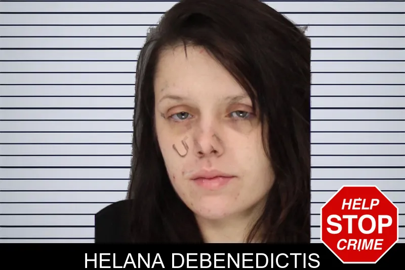 Helana Debenedictis mugshot – Cobb County , Georgia Helana Debenedictis mugshot