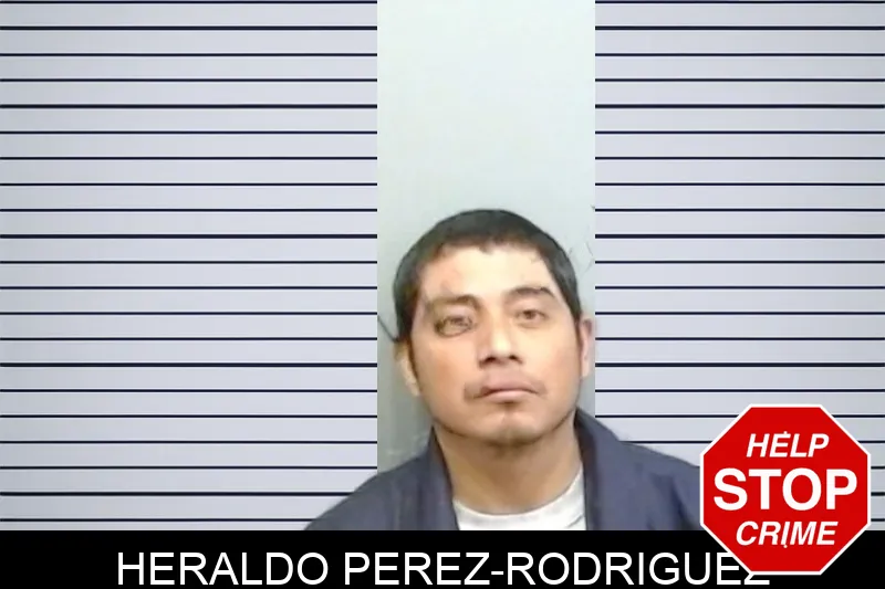 Heraldo Perez-Rodriguez mugshot