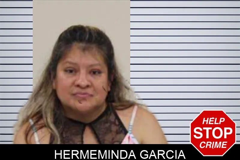 Hermeminda Garcia Mugshots