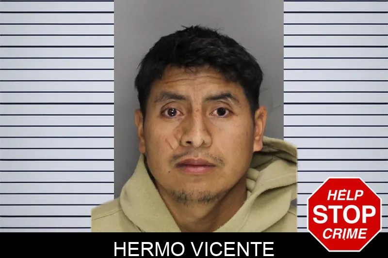 Hermo Vicente Mugshots