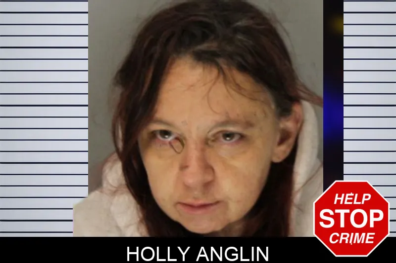 Holly Anglin Mugshots