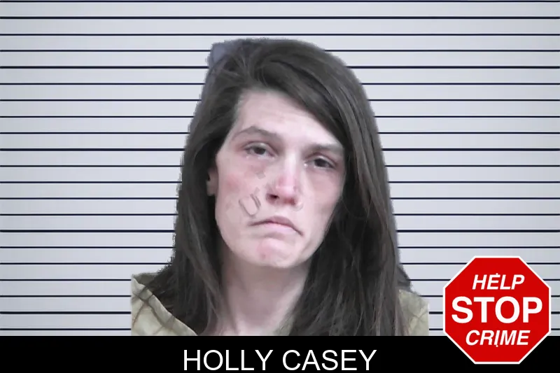 Holly Casey Mugshots