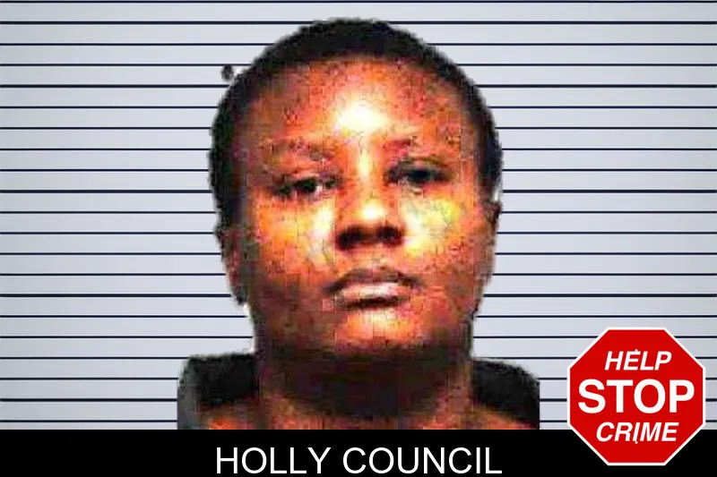 Holly Council mugshot
