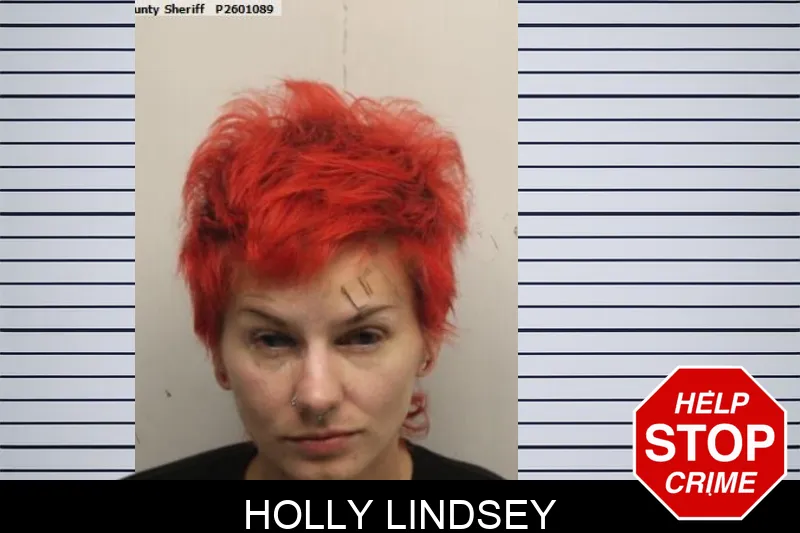 Holly Lindsey Mugshots