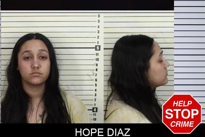 Hope Diaz mugshot