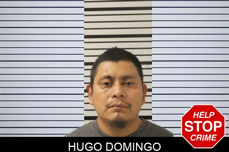 Hugo Domingo Mugshots
