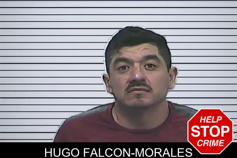 Hugo Falcon-Morales