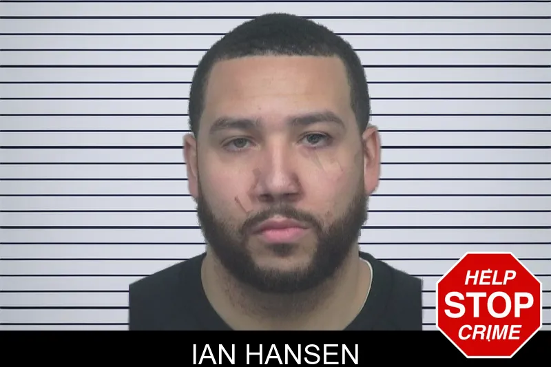 Ian Hansen mugshot – Gwinnett County , Georgia Ian Hansen mugshot
