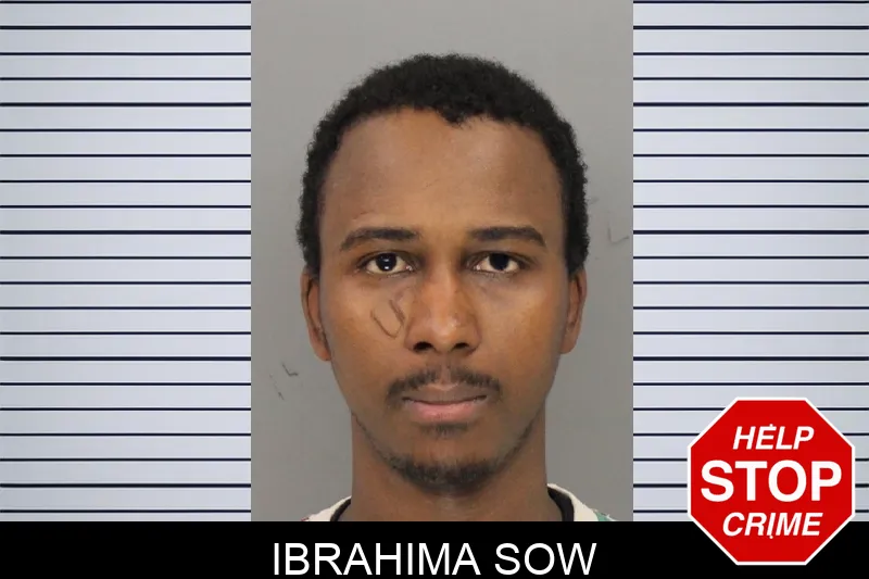 Ibrahima Sow Mugshots