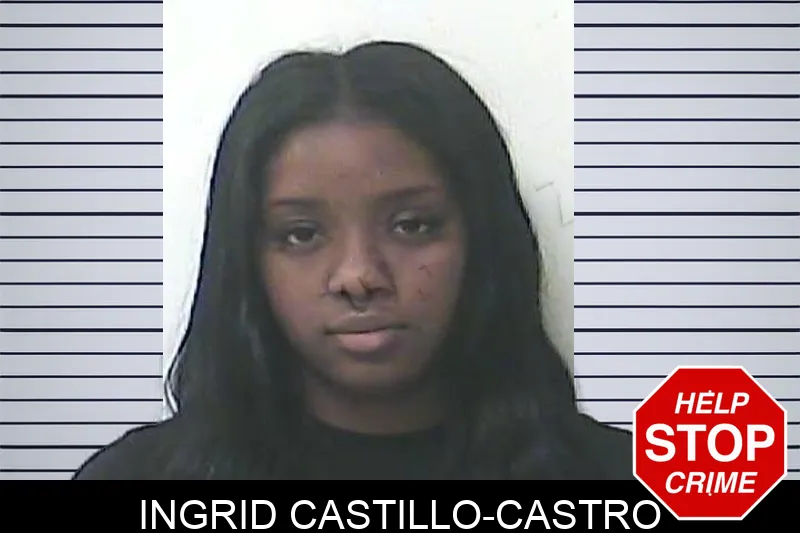 Ingrid Castillo-Castro Mugshots