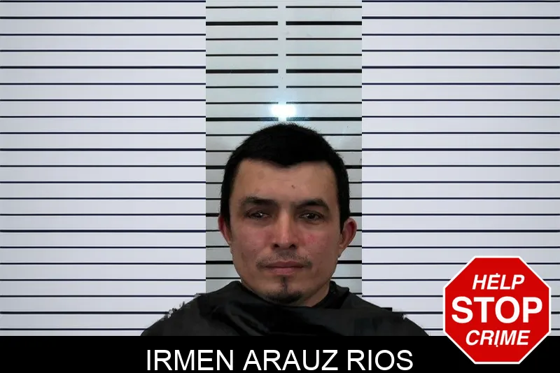 Irmen Arauz Rios Mugshots
