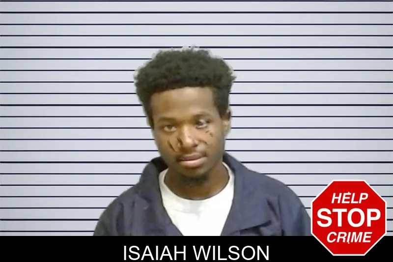 Isaiah Wilson mugshot – Fulton County , Georgia Isaiah Wilson mugshot
