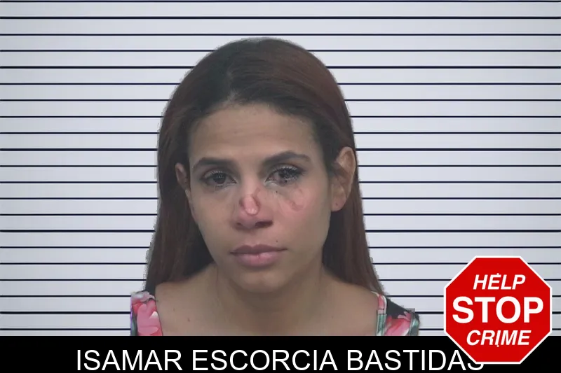 Isamar Escorcia Bastidas mugshot – Gwinnett County , Georgia Isamar Escorcia Bastidas mugshot