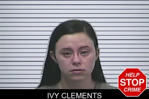 Ivy Clements mugshot