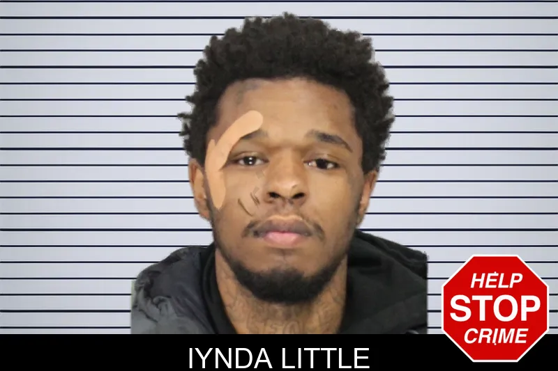Iynda Little mugshot