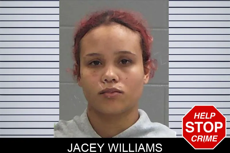 Jacey Williams Mugshots