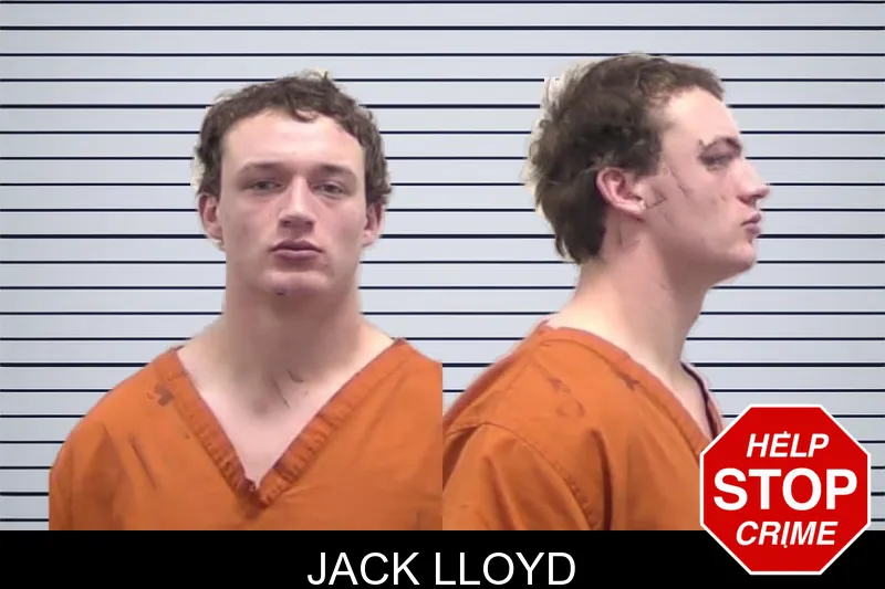 Jack Lloyd Mugshots
