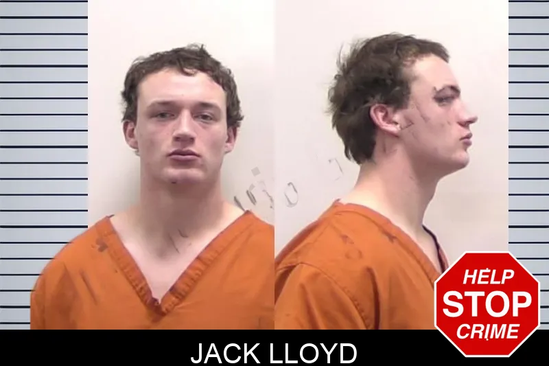 Jack Lloyd Mugshots