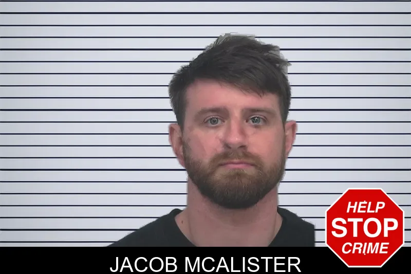 Jacob McAlister mugshot – Gwinnett County , Georgia Jacob McAlister mugshot