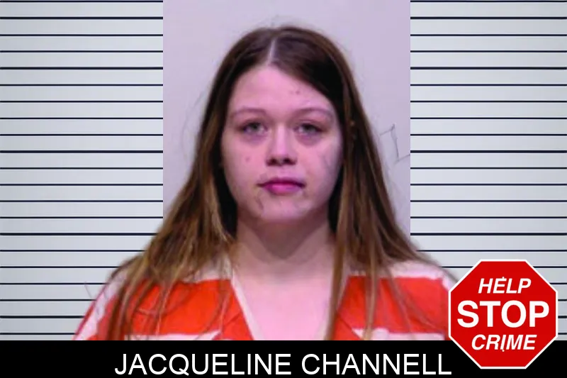 Jacqueline Channell mugshot – Bartow County , Georgia Jacqueline Channell mugshot
