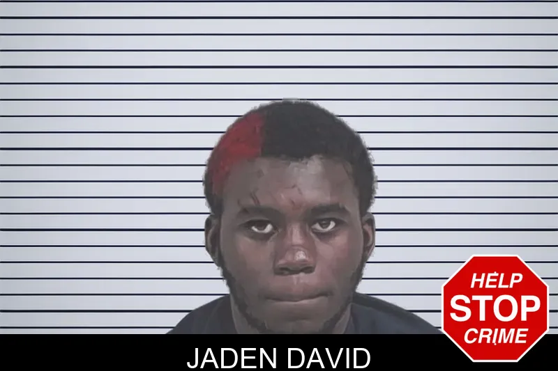 Jaden David mugshot