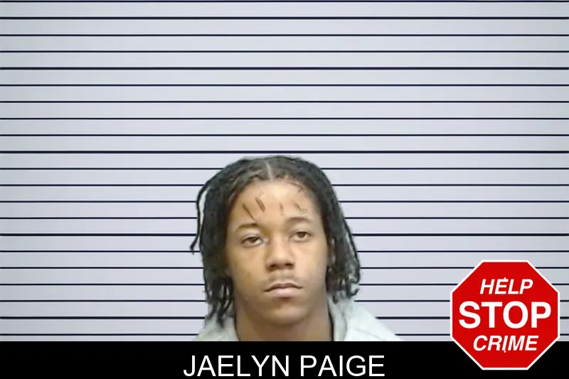 Jaelyn Paige mugshot – Fulton County , Georgia Jaelyn Paige mugshot