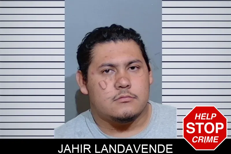 Jahir Landavende Mugshots