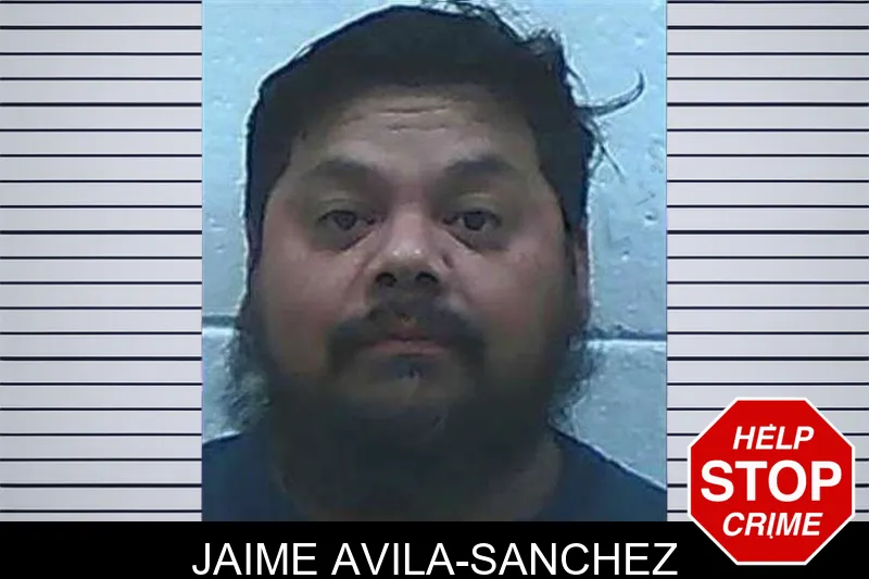 Jaime Avila-Sanchez Mugshots