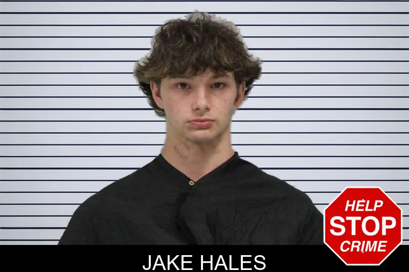 Jake Hales Mugshots