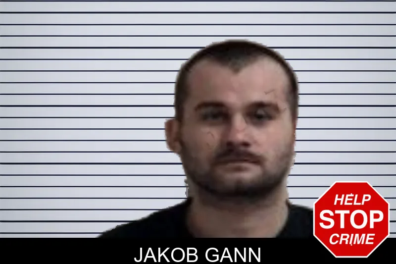 Jakob Gann mugshot – Henry County , Georgia Jakob Gann mugshot