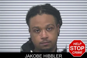 Jakobe Hibbler mugshot