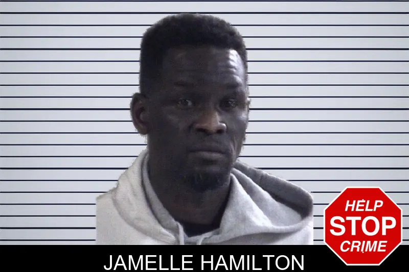 Jamelle Hamilton Mugshots