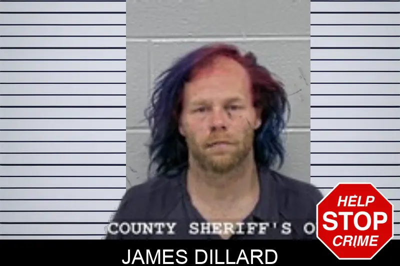 James Dillard Mugshots