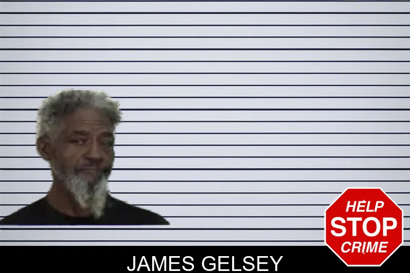James Gelsey mugshot