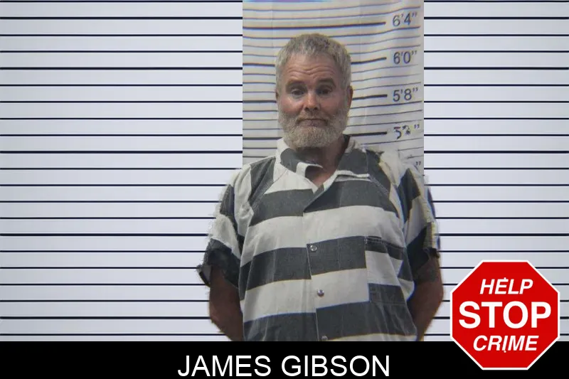 James Gibson Mugshots