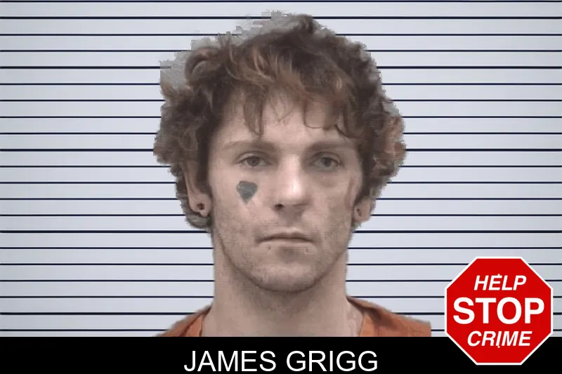James Grigg Mugshots