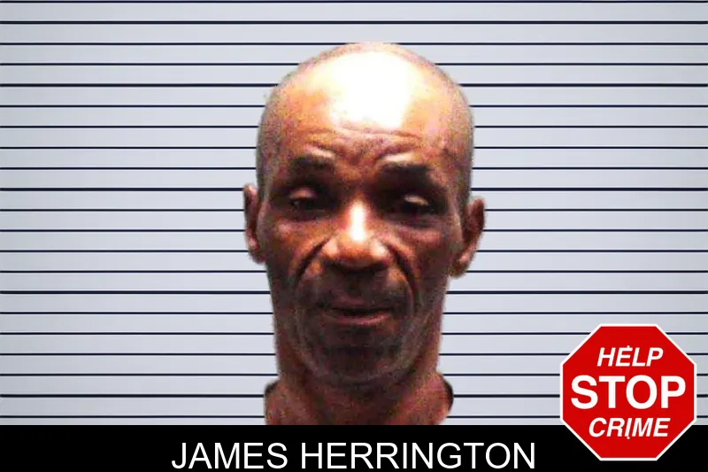 James Herrington Mugshots