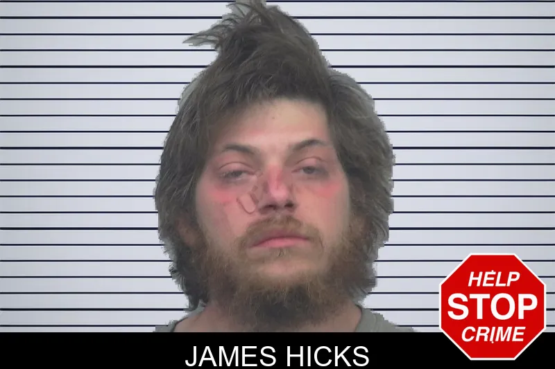 James Hicks mugshot – Gwinnett County , Georgia James Hicks mugshot