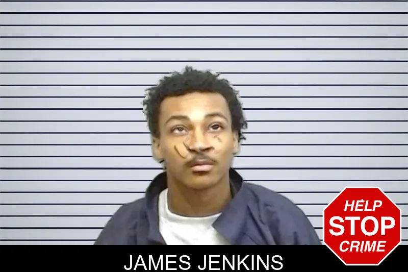 James Jenkins mugshot – Fulton County , Georgia James Jenkins mugshot