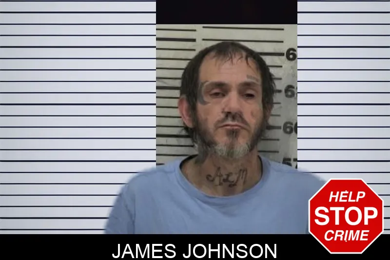 James Johnson Mugshots