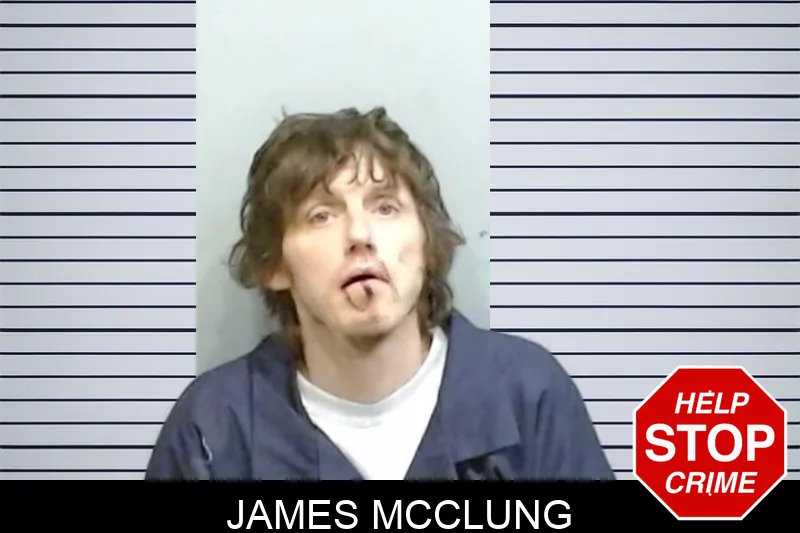 James McClung mugshot – Fulton County , Georgia James McClung mugshot