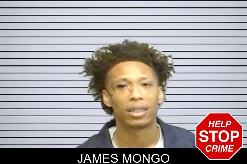 James Mongo mugshot – Fulton County , Georgia James Mongo mugshot