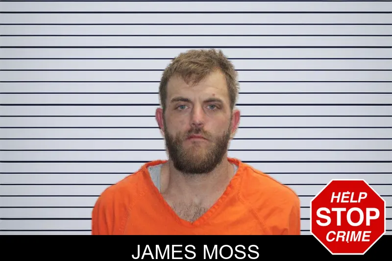 James Moss Mugshots